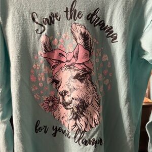 5/$20 Delta Light Blue Llama Graphic Long Sleeve Tee